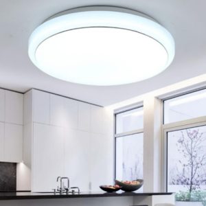 Ceiling Light CL-WRS01