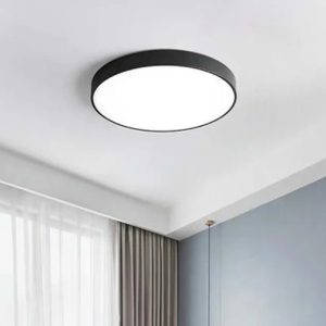 Ceiling Light R8342-B