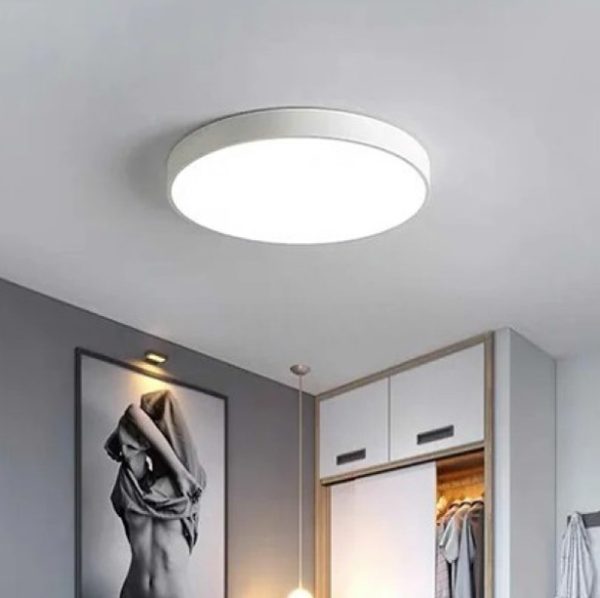 Ceiling Light R8342-W