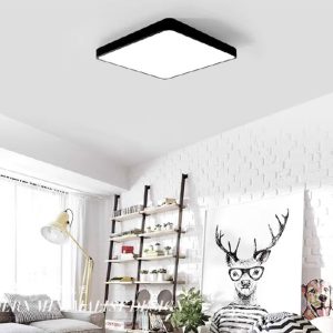 Ceiling Light S8342-B