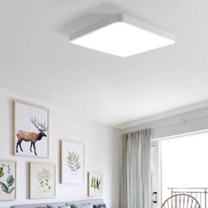 Ceiling Light S8342-W