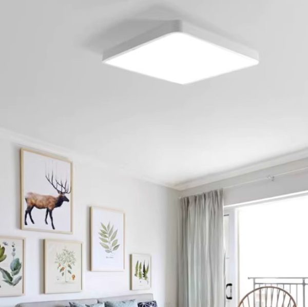 Ceiling Light S8342-W