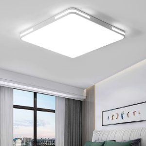 Ceiling Light S8343-W