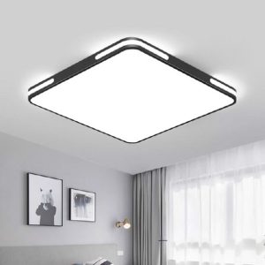 Ceiling Light S8343-B