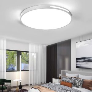 Ceiling Light R8343-W