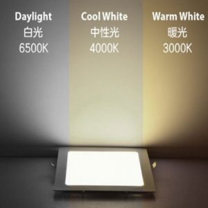 Down Light DL/12W-SQ