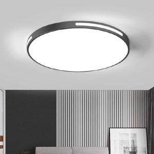 Ceiling Light R8343-B