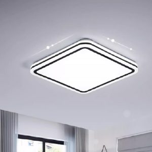 Ceiling Light WRS02