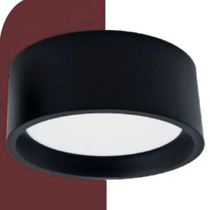 Ceiling Light CL/M2830B